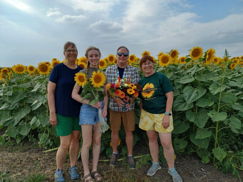 Group of four people standing in a vibrant sunflower field, each holding sunflowers and a bouquet, enjoying a sunny day outdoors. The lush green leaves and bright yellow flowers create a cheerful backdrop, highlighting a fun floral experience.