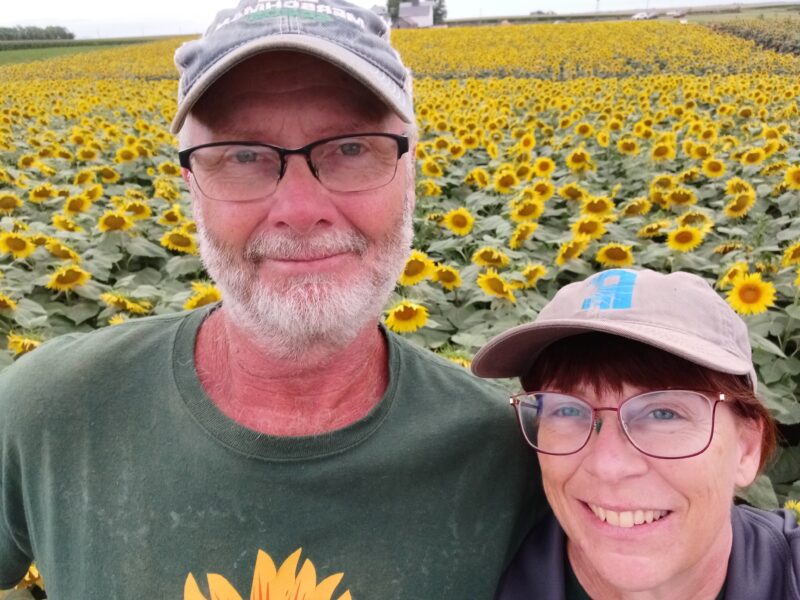 Couple smiling in a sunflower field, surrounded by vibrant yellow flowers, showcasing a scenic agricultural landscape.