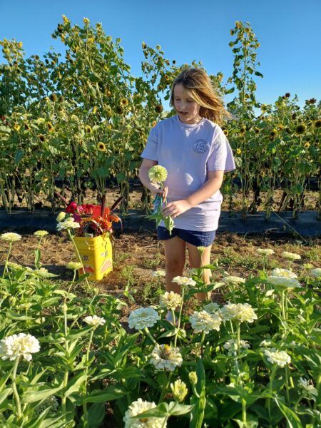 A young girl in a light purple shirt gathers flowers in a vibrant field filled with sunflowers and zinnias, with a yellow bucket nearby for collecting blooms under a clear blue sky.