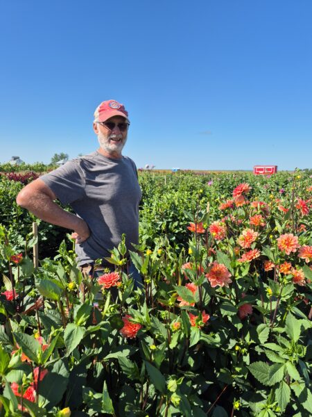 Man standing among vibrant dahlia flowers in a sunny field, wearing a red hat and sunglasses, with a clear blue sky in the background.