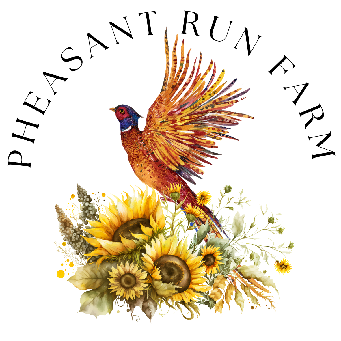 Pheasant Run Farm - Pheasant Run farm Colorful illustration of a pheasant with outstretched wings, surrounded by a variety of sunflowers and greenery, featuring the text "Pheasant Run Farm" in an elegant font. Ideal for showcasing farm branding and nature-inspired themes.