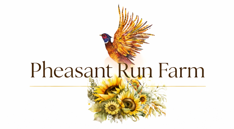 Colorful logo of Pheasant Run Farm featuring a vibrant pheasant and a bouquet of sunflowers, symbolizing nature and agriculture.